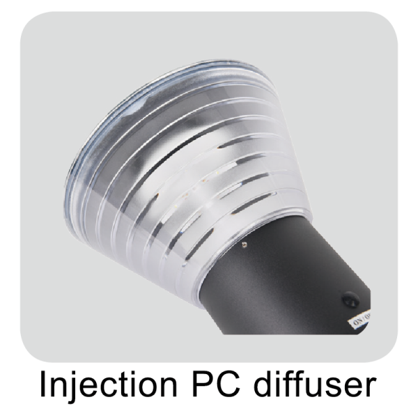 Best Solar Lights For Yard