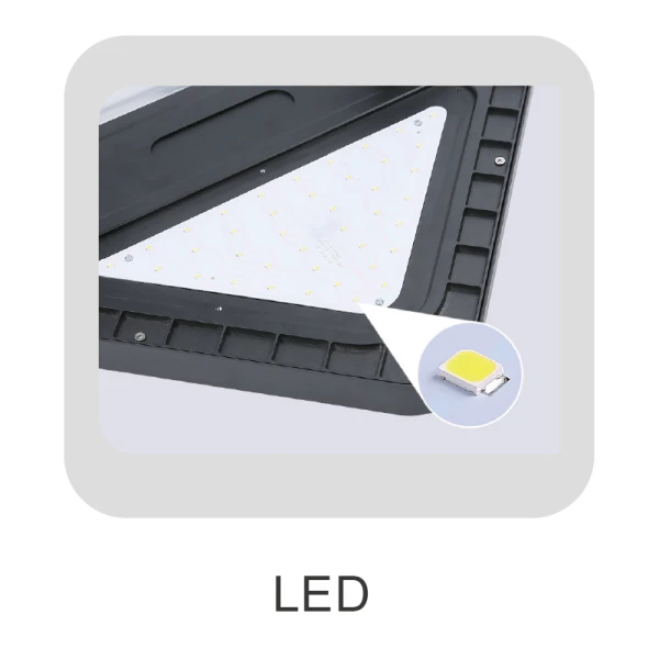 Solar Lights For Garden