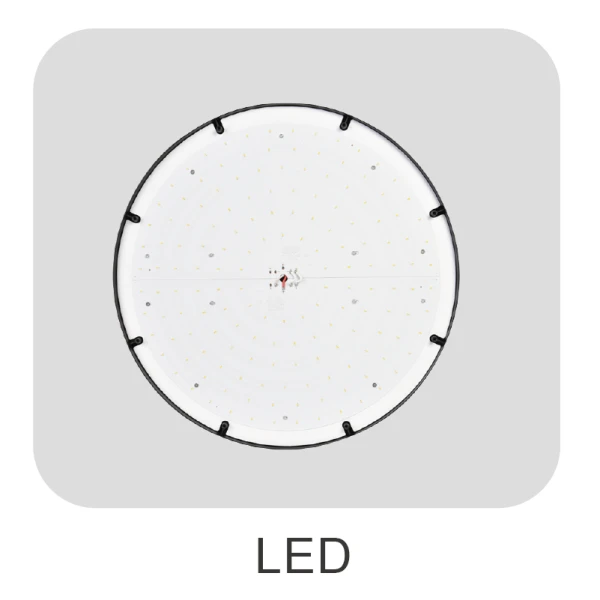 Solar Lights For Yard